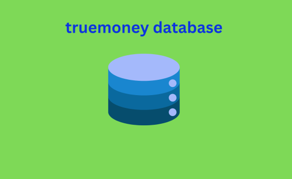 truemoney database